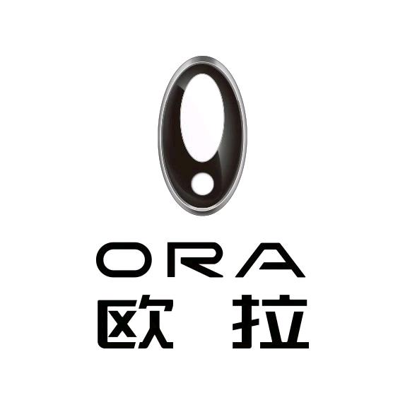 泸州建国欧拉4S店