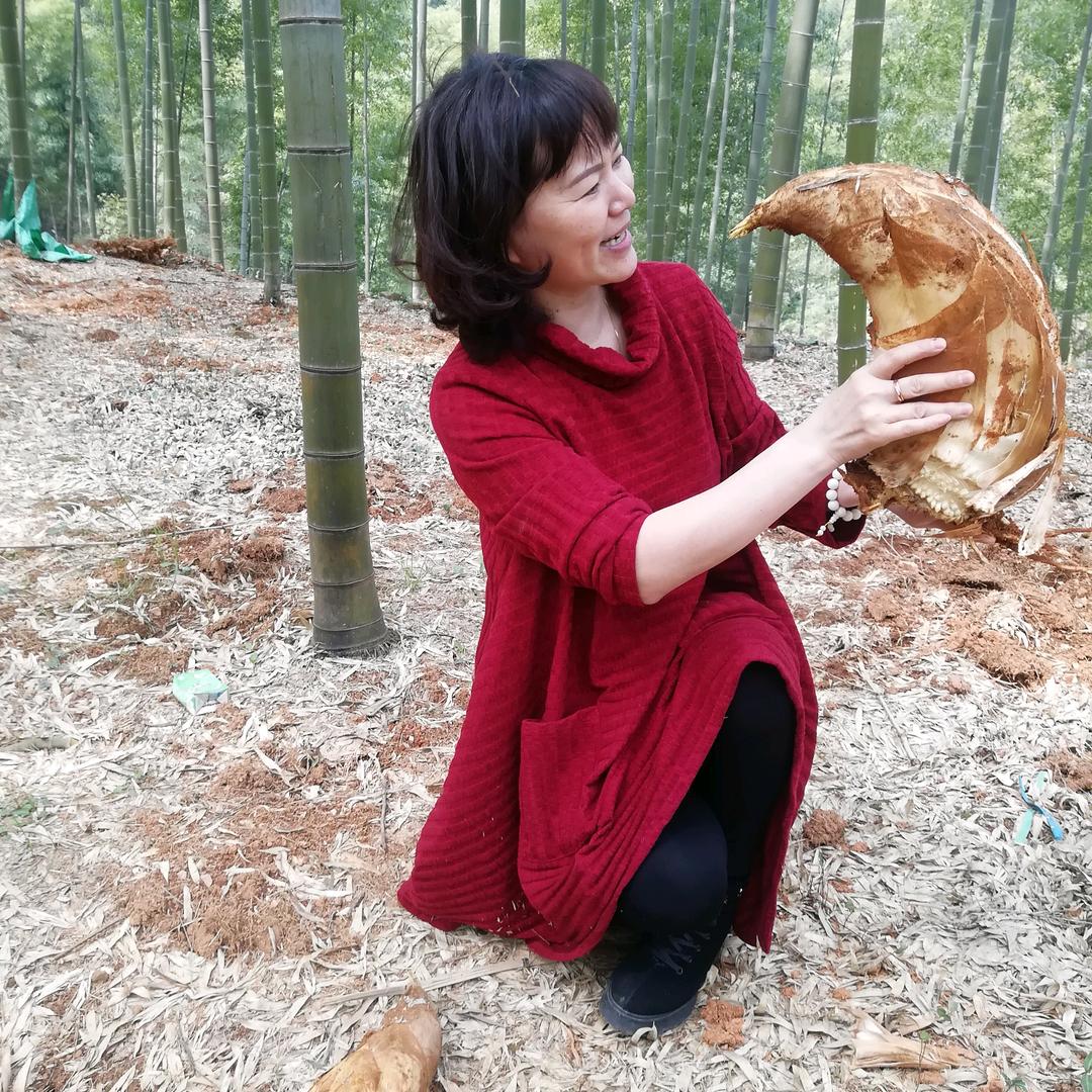 妙妙红娘《2号》🌷