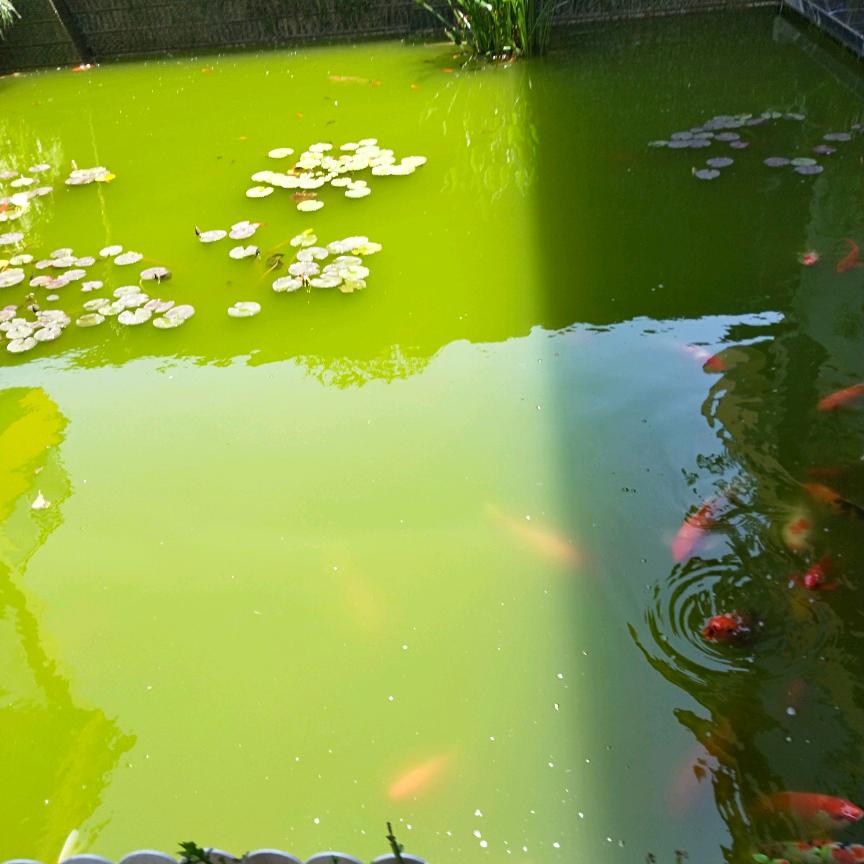 莪の吢情。僦想陸仴雨，嘀嘀丅嗰吥諪