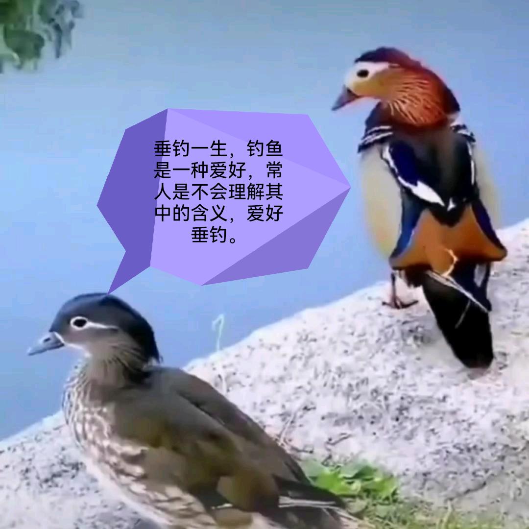 我就是我