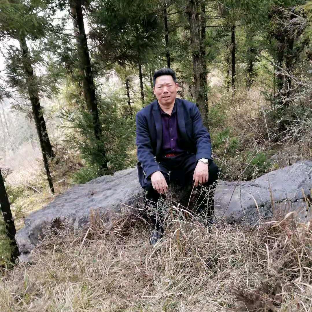 王聪明
