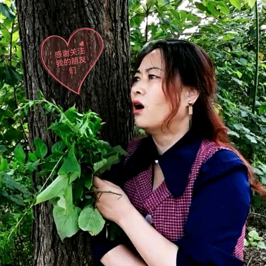 谭棉花〈中午11点半开播）
