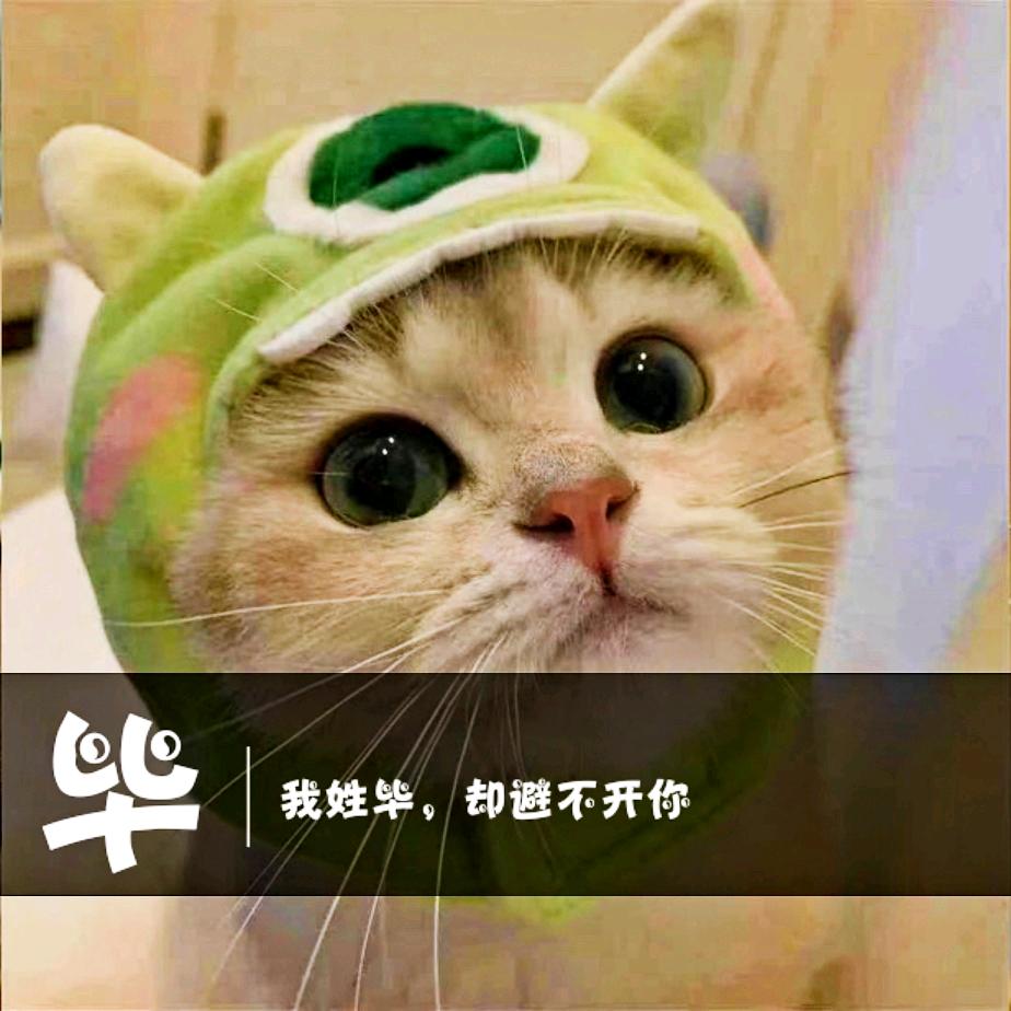 啊秀