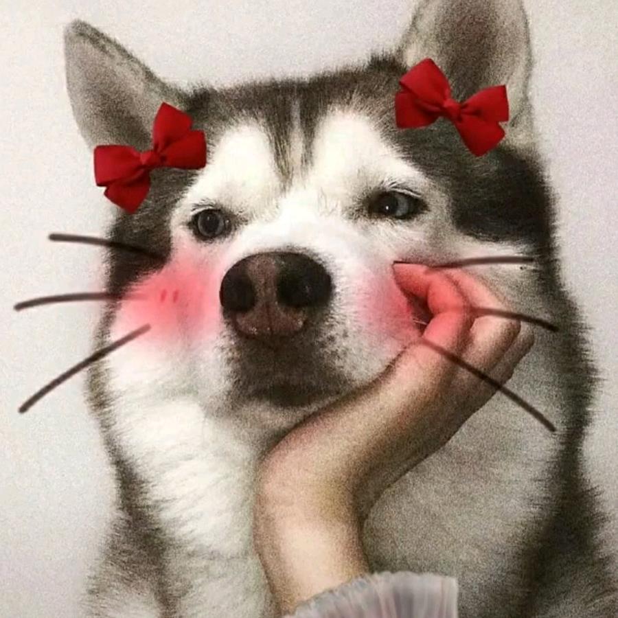 ✨是神仙姐姐吖✨