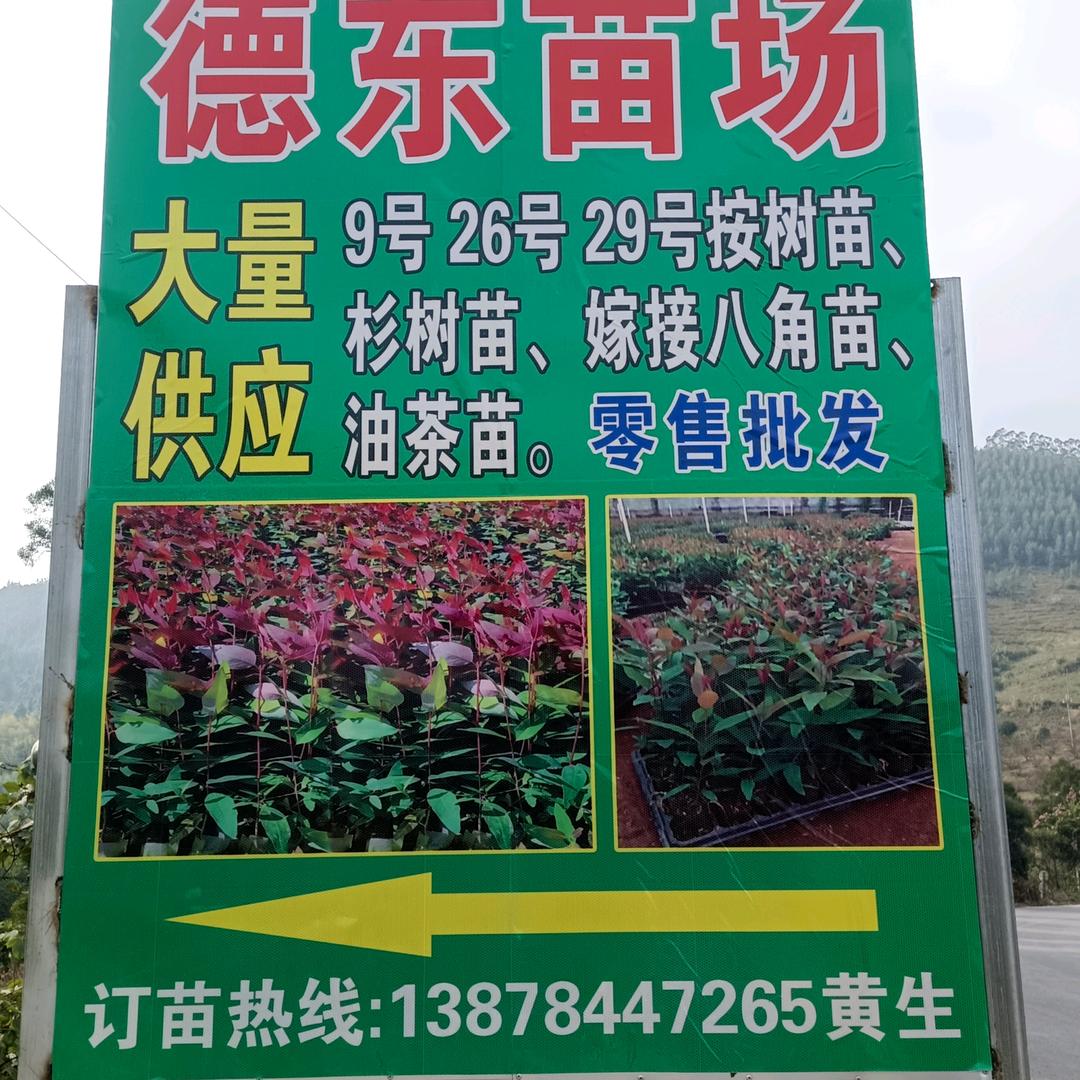 德东苗场