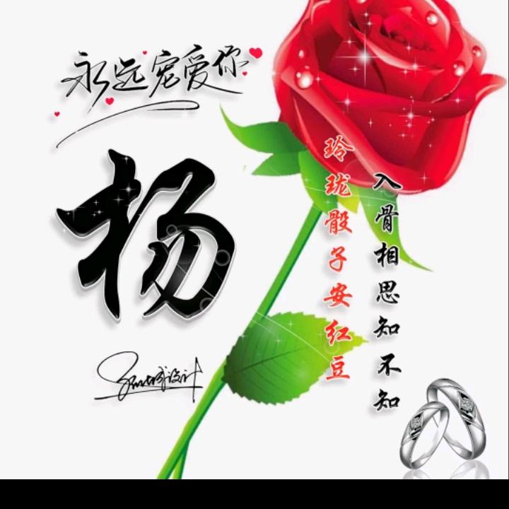 甜甜(づ ●─● )づ