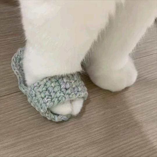 小刘aa