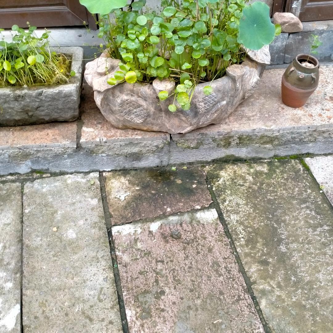 潘秋林