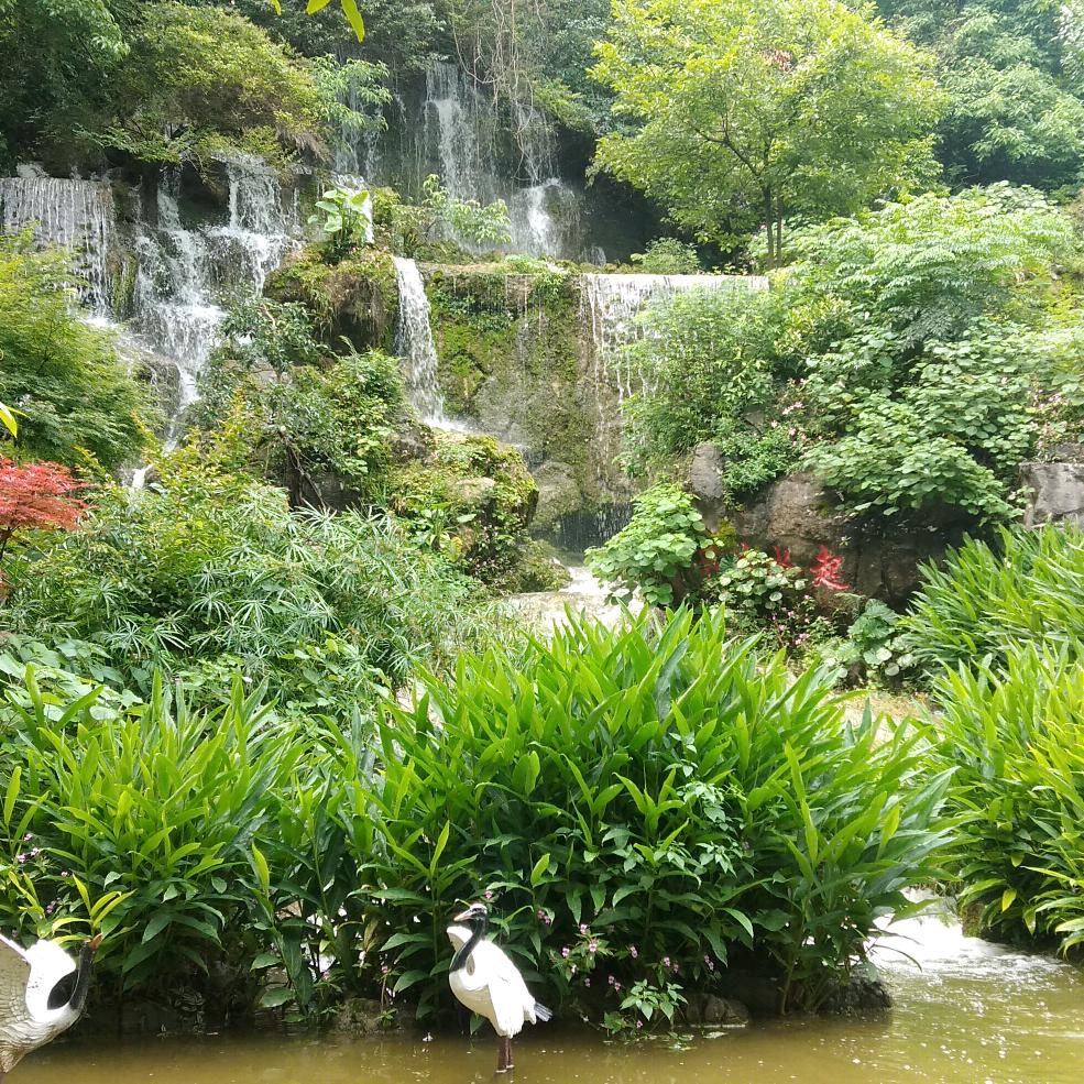 ~清风