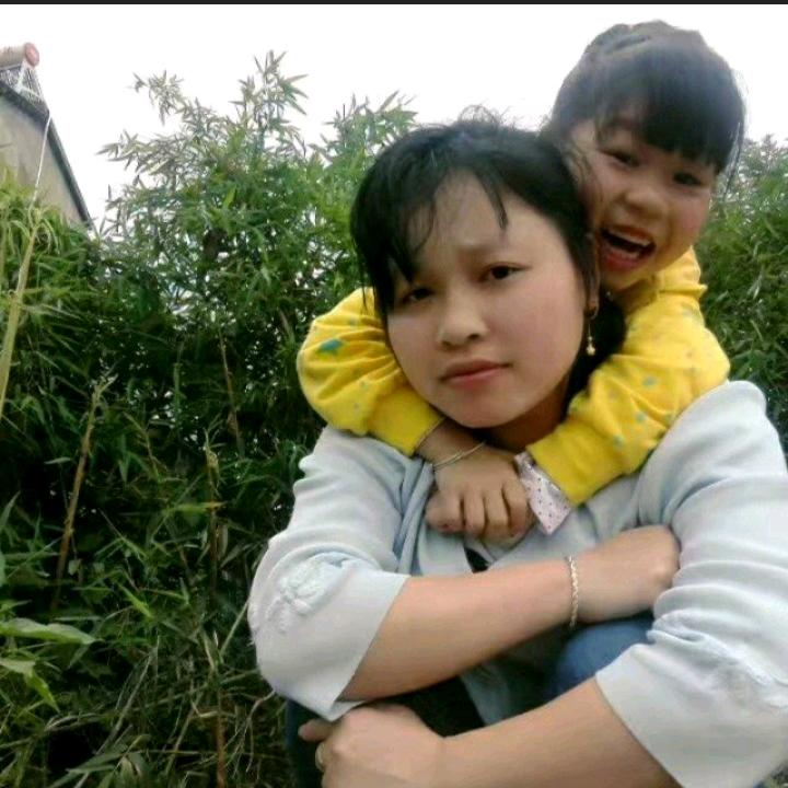 迎春花
