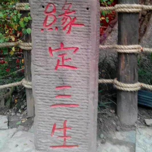 情花有毒(曾二)