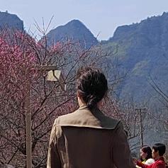 铜仁房产    小田