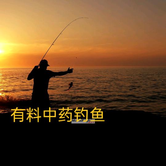 钓鱼短剧