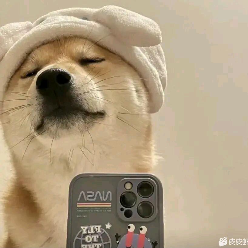 你相信光吗<