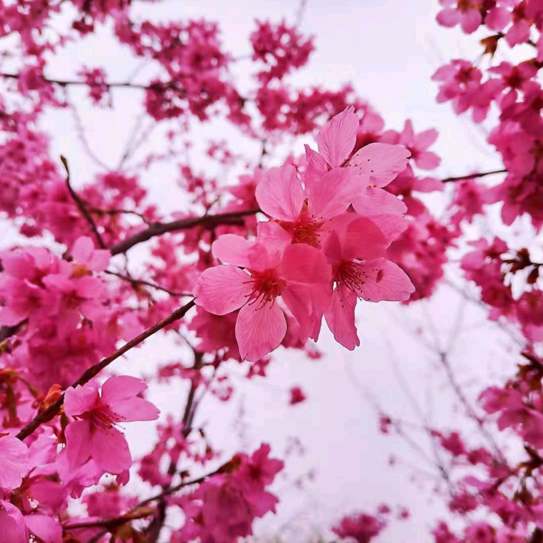 一切重来