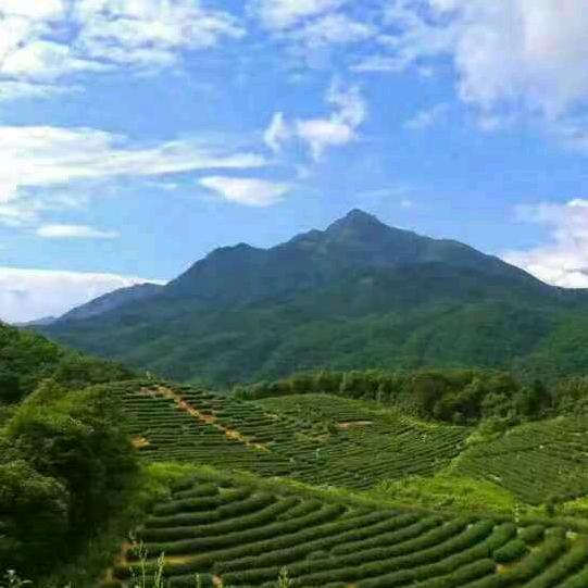 老糊涂