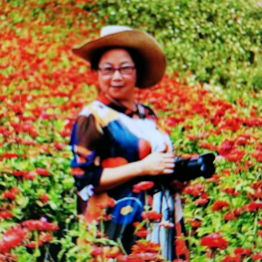 快乐🌸