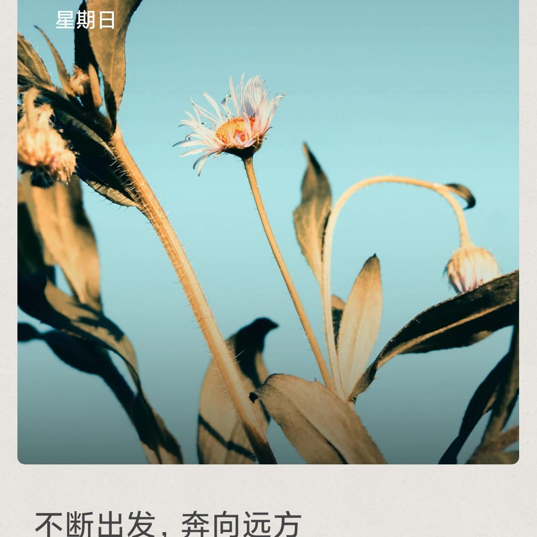 冷生（希望我是你的那道光）