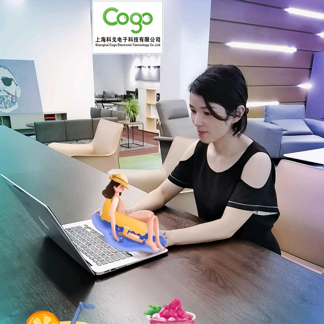 仪表小姐姐（上海科戈电子）