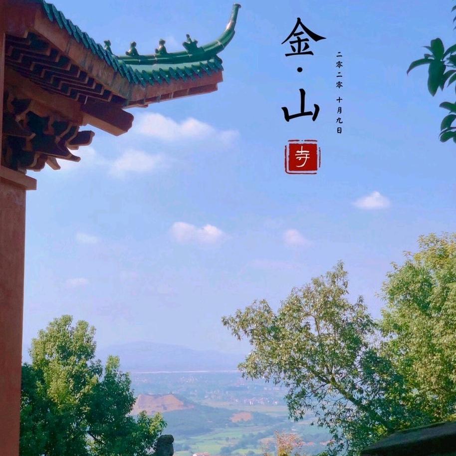 九九爸八头像