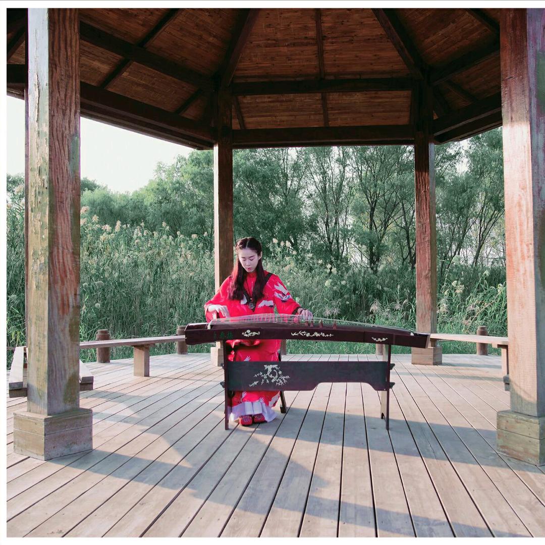 新泰古筝凯乐老师