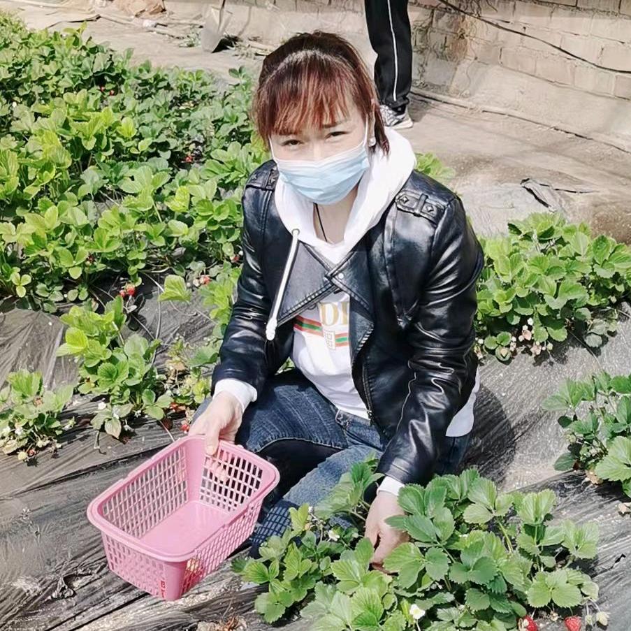 ZY    嫣然