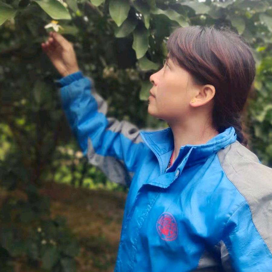 沉默是金（不要连赞）