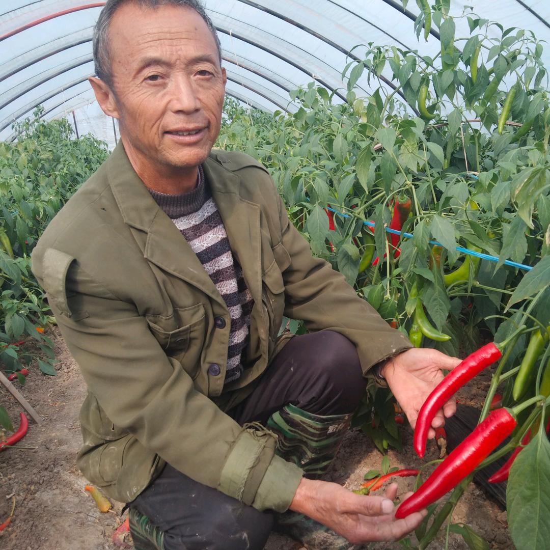 芜湖农民余良