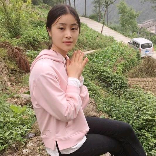 农业植保~糖果