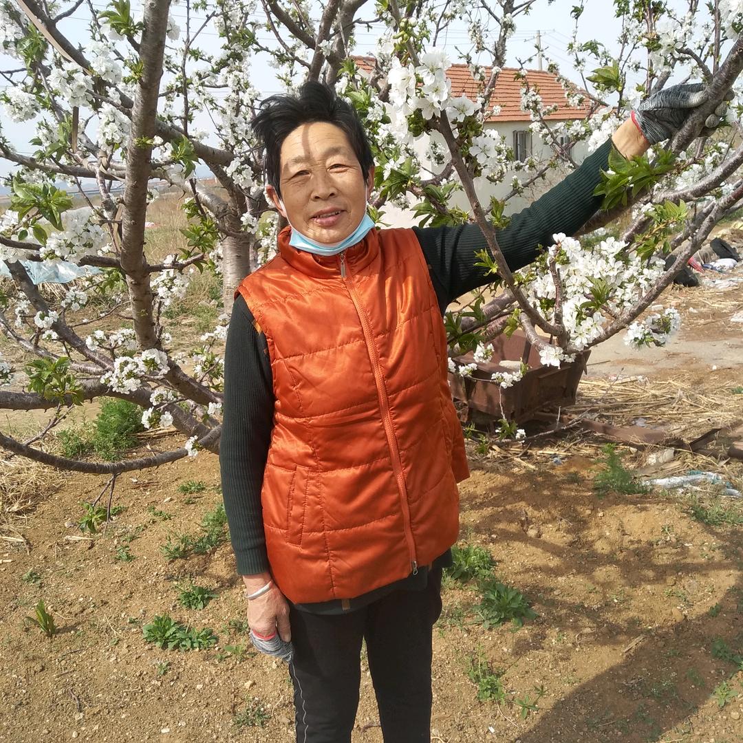 李云🌸