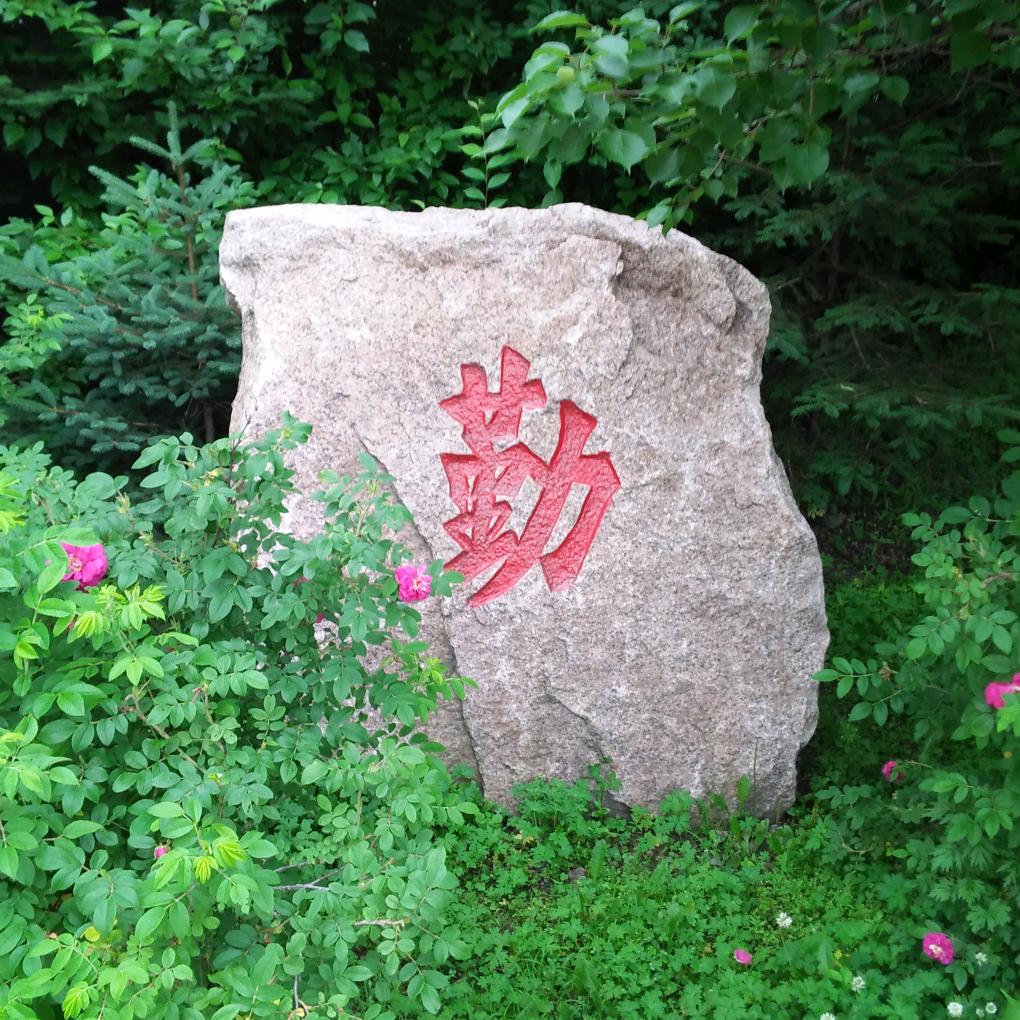 新粉丝