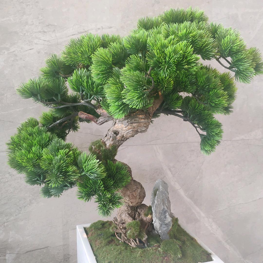 期待的日子里