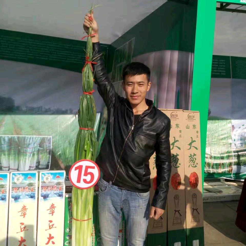 兴盛大葱优选