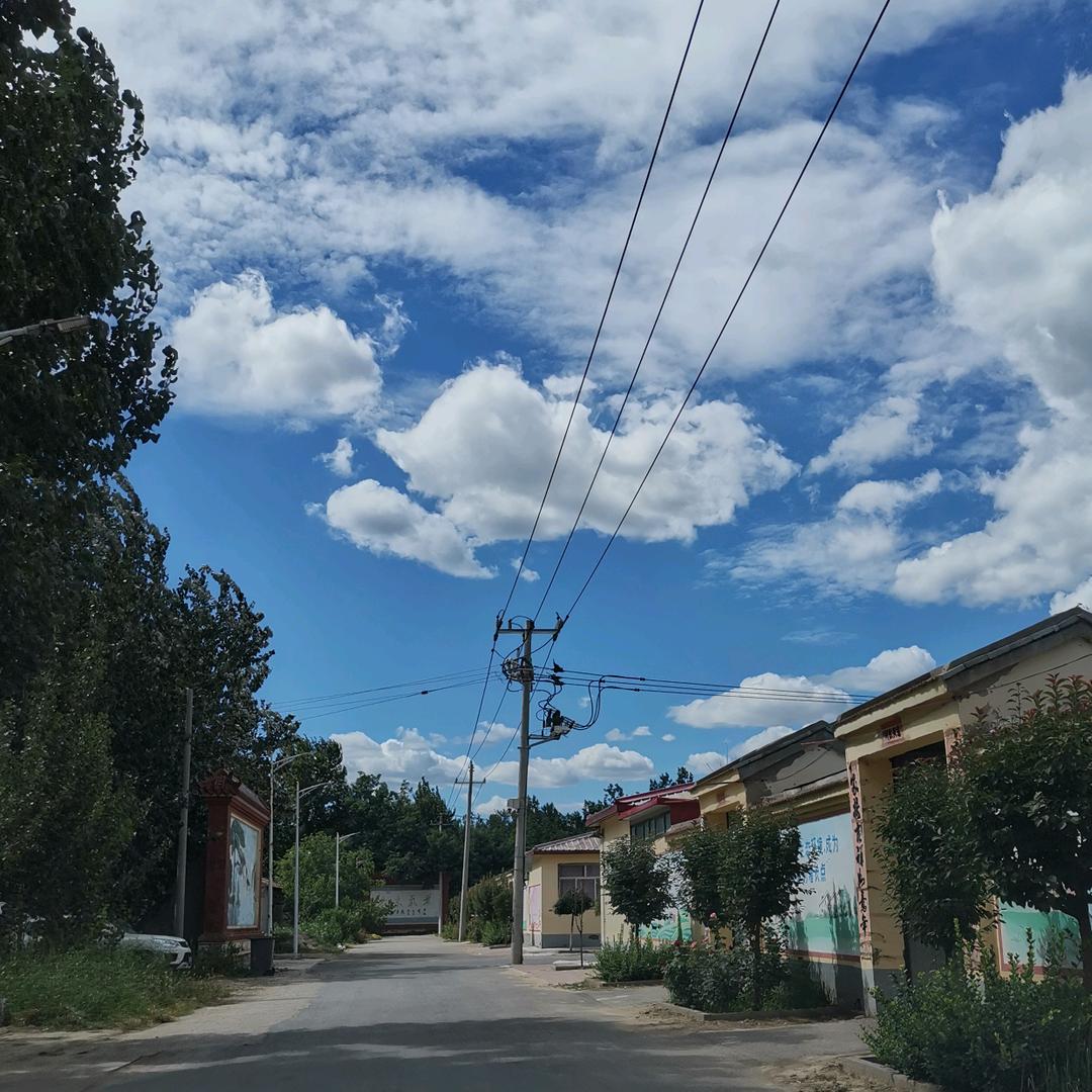 涛涛涛