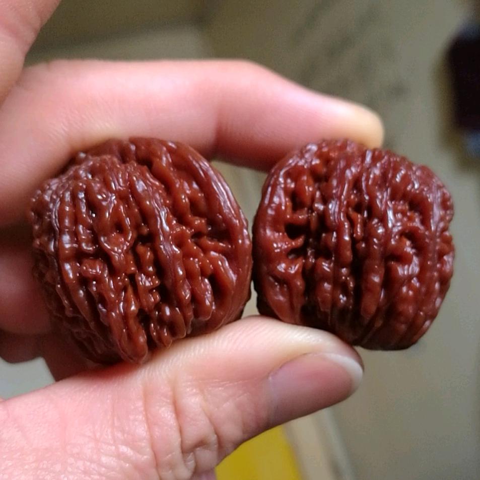 缘分让我认识你