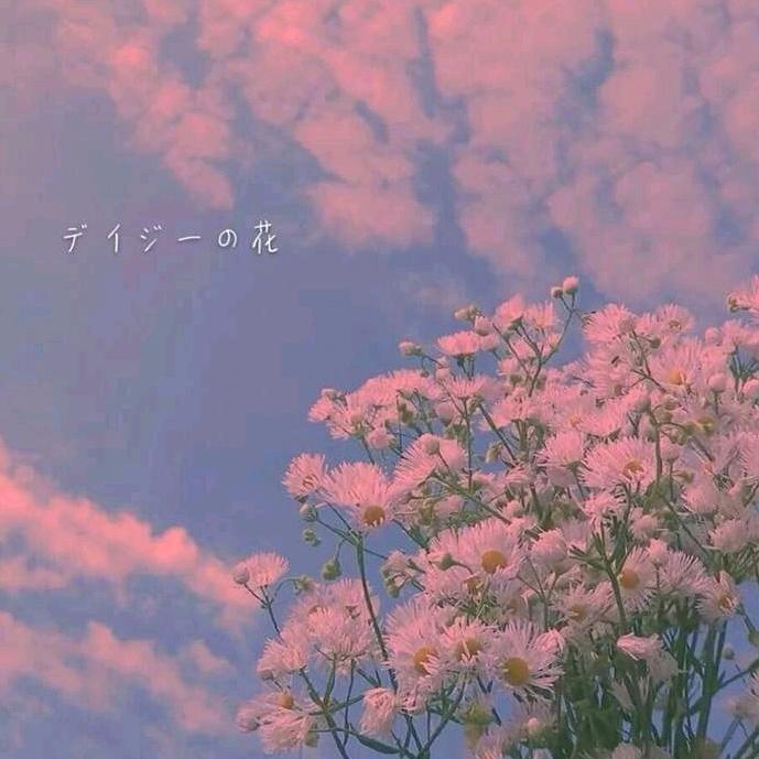 思故