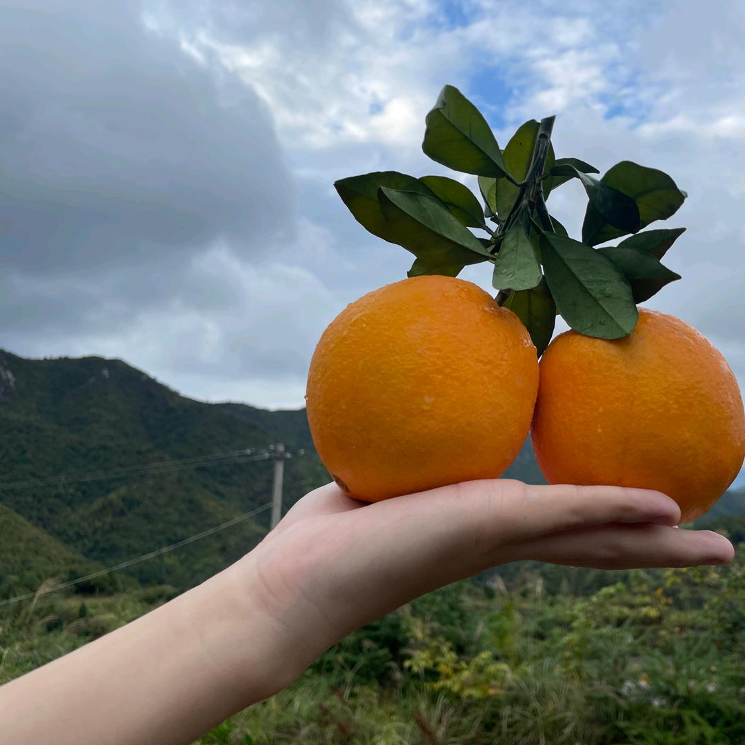 农村哥种养殖场