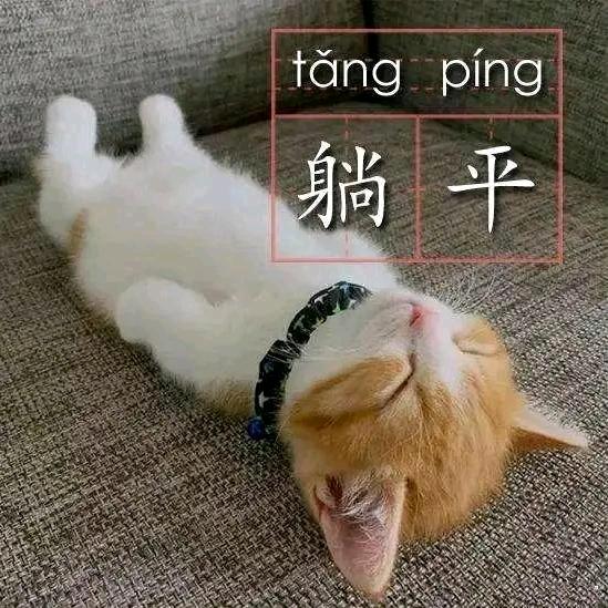 冯狗蛋