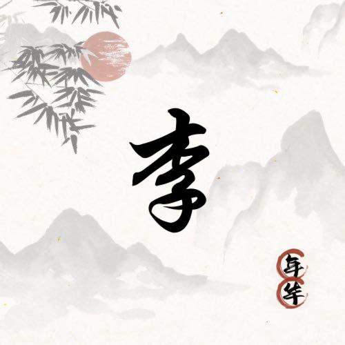 农村人李哥