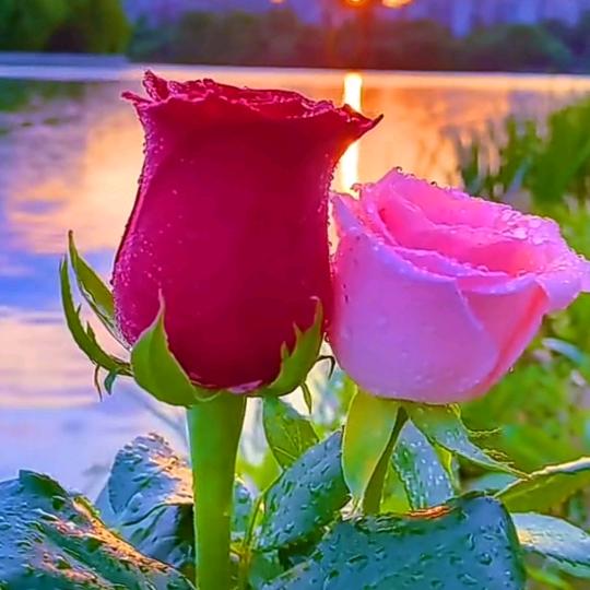 微微一笑天天好心情💖你