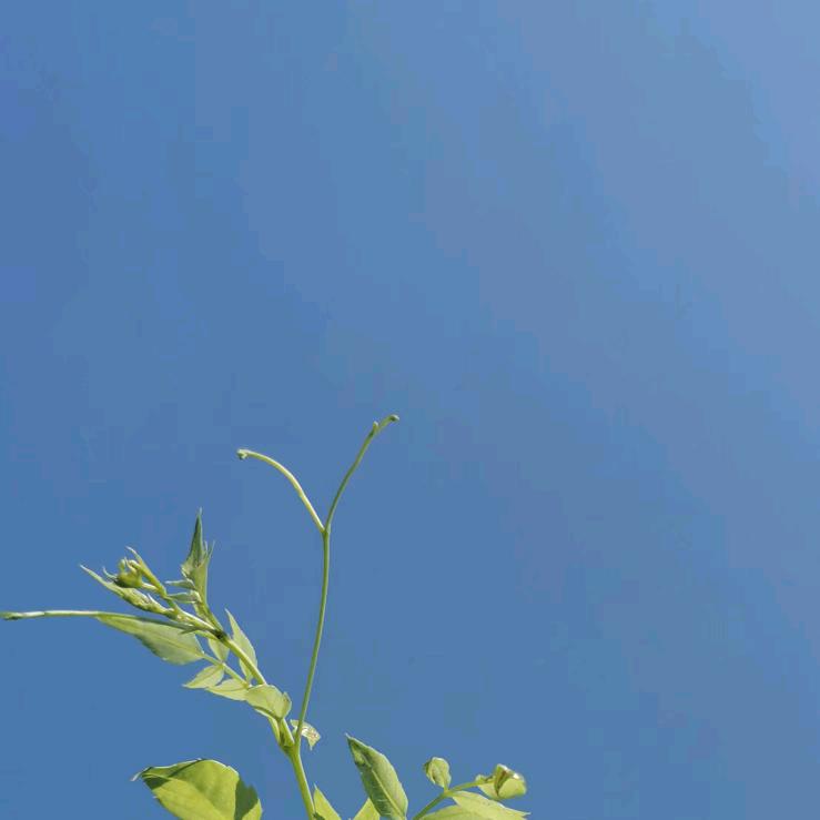 深圳德贤