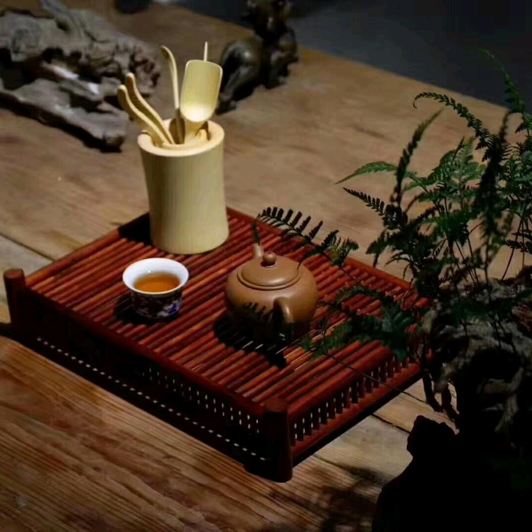 寻木行