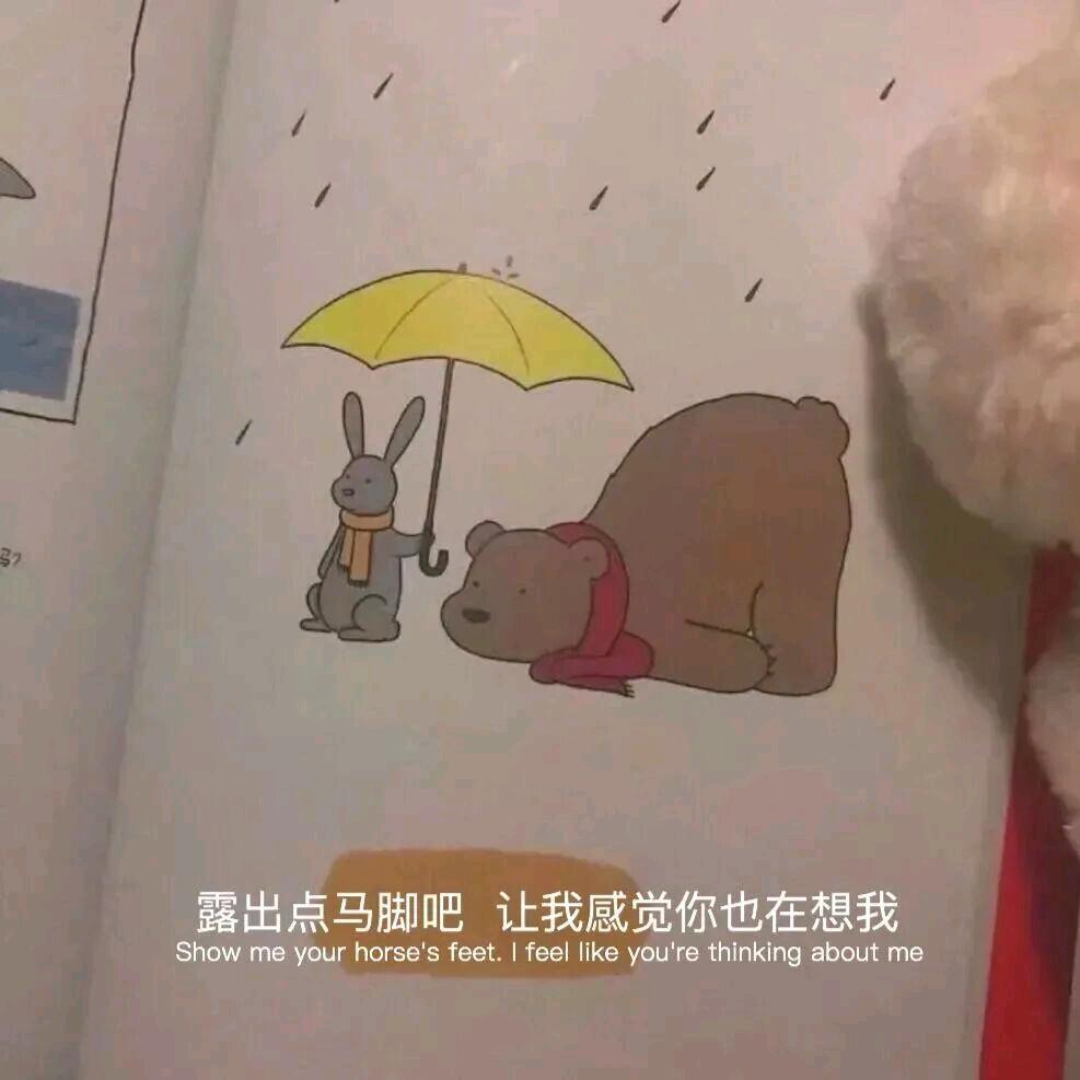 安桐（戒盲盒对对碰版）