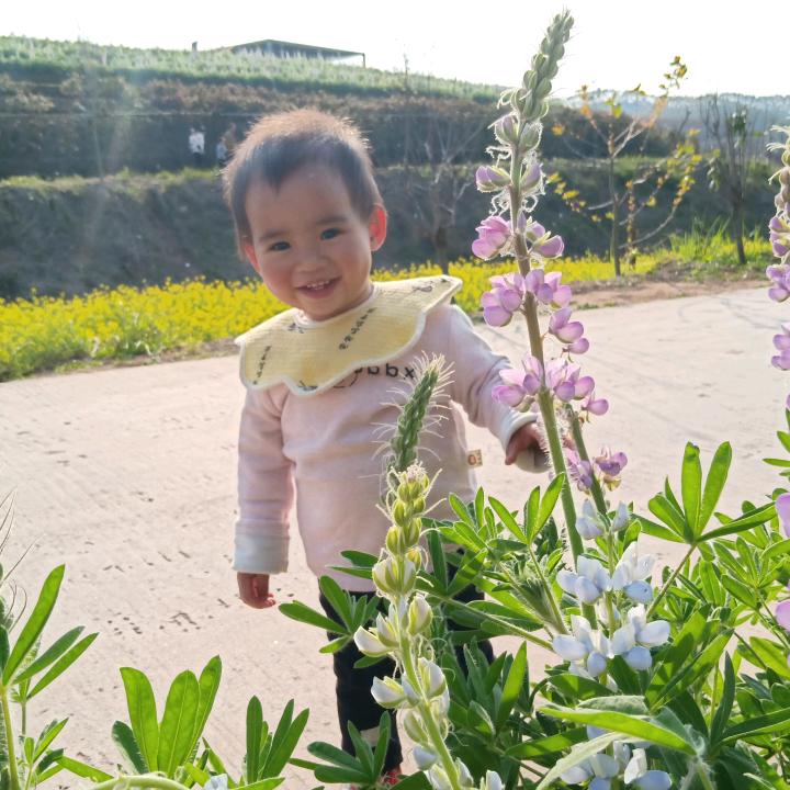 碧暮霞绡yi缕红