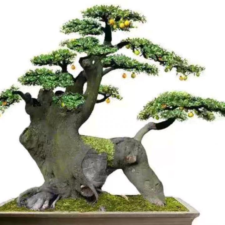 缘圆歌