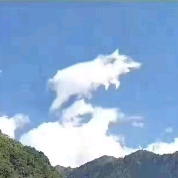 我是无语