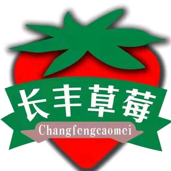 长丰草莓官方旗舰店