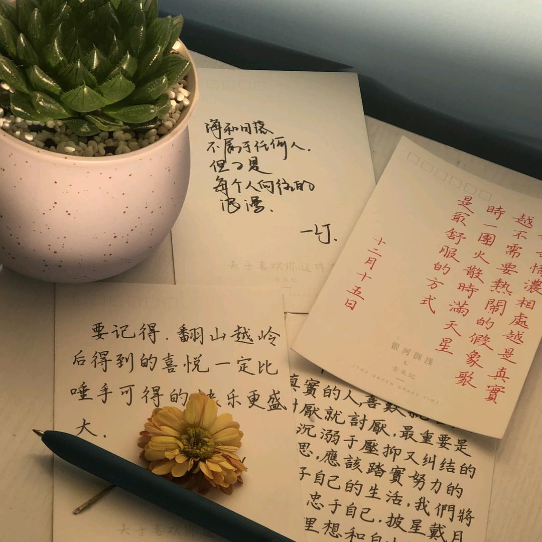 弘悦文学/练字