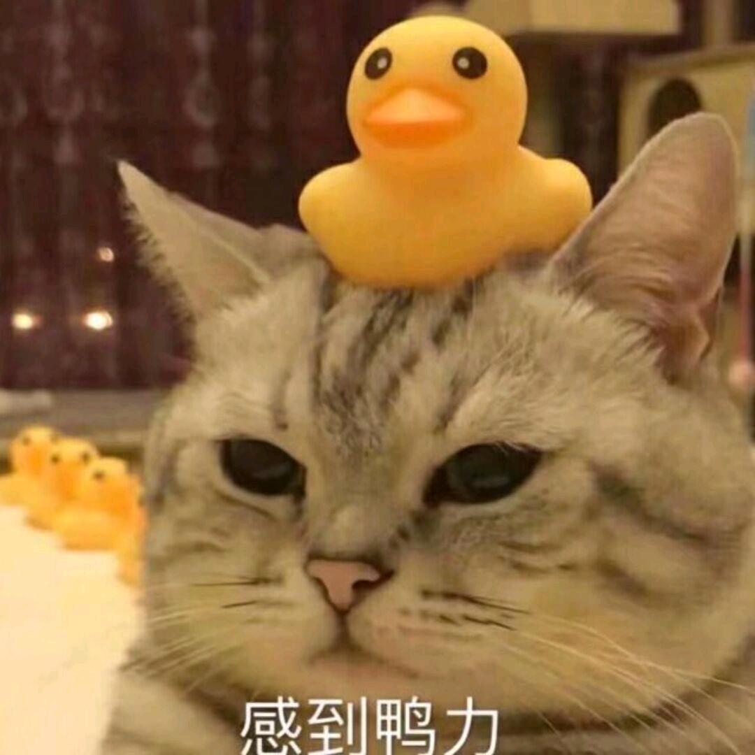 yunduan