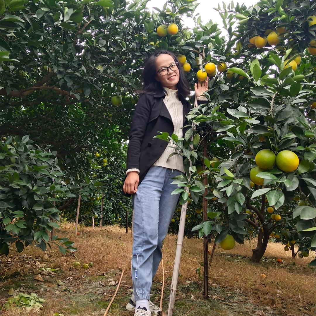 种橙人小李